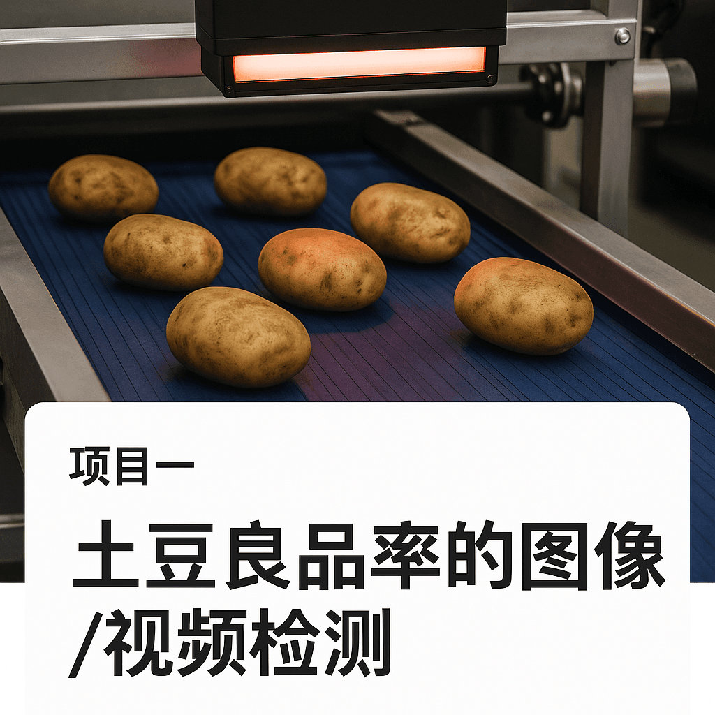 土豆良品分类检测